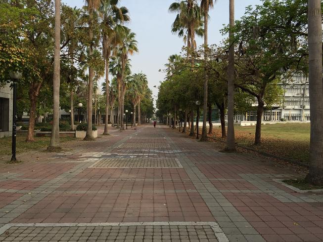 久久精品国产亚洲āv电影