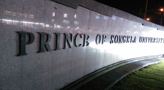 久久精品国产亚洲āv电影