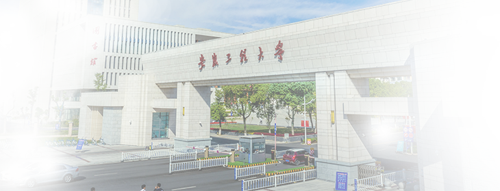 久久精品国产亚洲āv电影