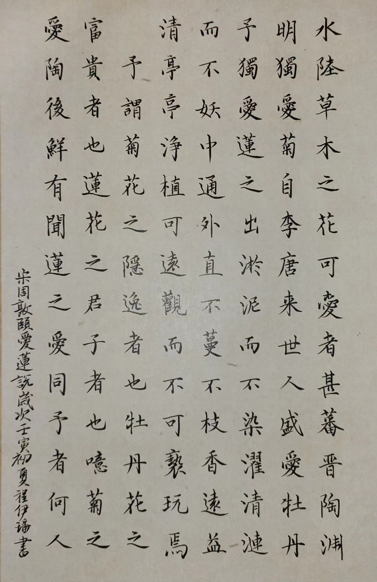 久久精品国产亚洲āv电影
